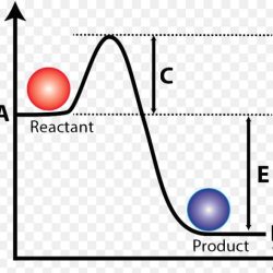 Activation energy lower do enzyme they